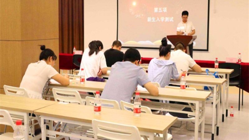 技能培训费用一览：揭秘背后的考量因素